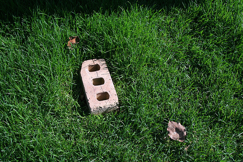 Cool Prevent Dog From Digging images 476146693 3e865aab86 Cool Prevent Dog From Digging images