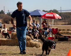 3580849773 f01a1c13f3 m Dog Behavior Training ? How Much Does Professional Dog Training Cost?