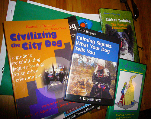 4394201704 13aedba4ba Cool Clicker Dog Training images