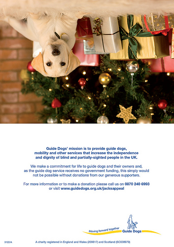 3095882696 8c4905efe9 Nice Guide Dogs photos
