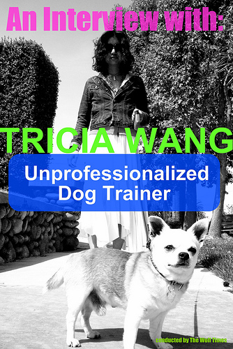 3084981815 e8f71ef376 Cool Adult Dog Train images