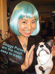 3085875656 f0a7fe0a05 m Older Dog Training   How To Train Adult Dog