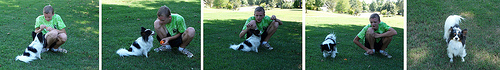 4961632130 6599becdd5 Nice Teach Dog Fetch photos