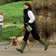 4925935757 478508058e m All About Dog Obesity and Obedience