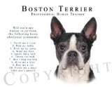 Boston Terrier Human Trainer Mouse Pad Dog Mousepad 511PaGZ0roL. SL160 Boston Terrier Human Trainer Mouse Pad Dog Mousepad