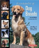 517AY9W55FL. SL160  Encyclopedia of Dog Breeds