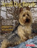 51MHZ6P5ACL. SL160  Small Dog Breeds
