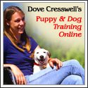 dove dog training 125x125 Dog training book review